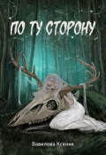 Обложка книги "По ту сторону"