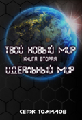 Обложка книги "Идеальный мир"