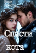 Обложка книги "Спасти кота "