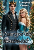 Обложка книги "Снегурочку вызывали?"