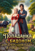 Обложка книги "Попаданка с бидоном, или Семеро приютских и серый дракон"
