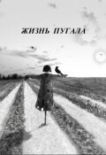 Обложка книги "Жизнь пугала"