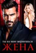 Обложка книги "Ты ко мне вернешься, жена"