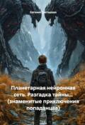 Обложка книги "Планетарная нейронная сеть. Разгадка тайны..."