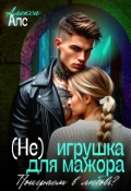Обложка книги "(не)игрушка для мажора. Поиграем в любовь?"