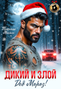 Обложка книги "Дикий и злой Дед Мороз!"