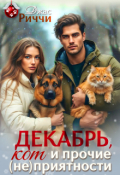 Обложка книги "Декабрь, кот и прочие (не)приятности"