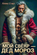 Обложка книги "Мой свёкр - Дед Мороз"