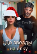 Обложка книги "До звезды на елку"