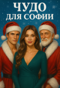 Обложка книги "Чудо для Софии"
