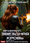 Обложка книги "Звёздная Кровь Архераил. Книга 4. Великий библиотекарь"