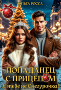 Обложка книги "Попаданец с прицепом. Я тебе не Снегурочка!"