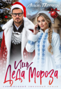 Обложка книги "Ищу Деда Мороза"
