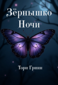 Обложка книги "Зёрнышко Ночи"