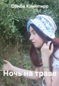 Обложка книги "Ночь на траве"