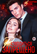 Обложка книги "Разводиться запрещено"