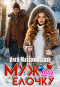 Обложка книги "Муж под елочку"