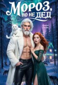 Обложка книги "Мороз, но не Дед"