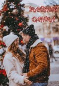 Обложка книги "Тайный Санта"