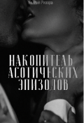 Обложка книги "Накопитель асотических эпизодов"