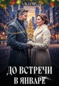 Обложка книги "До встречи в январе"