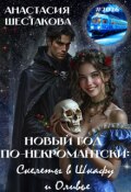 Обложка книги "Новый год по-некромантски: скелеты в шкафу и оливье."