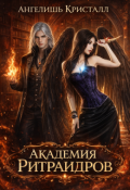 Обложка книги "Академия Ритраидров"