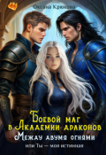 Обложка книги "Боевой маг в Академии драконов. Между двумя огнями"