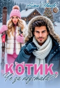 Обложка книги "Котик, чё за подстава?!"