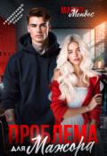 Обложка книги "Проблема для мажора"