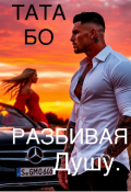 Обложка книги "Разбивая Душу."