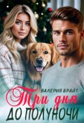 Обложка книги "Три дня до полуночи"