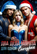 Обложка книги "Два Деда Мороза для одной Снегурки"