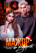 Обложка книги "Мажор в подарок"