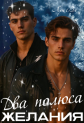Обложка книги "Два полюса желания"