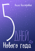 Обложка книги "5 день до Нового года"