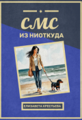 Обложка книги "Смс из ниоткуда"
