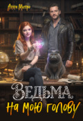 Обложка книги "Ведьма на мою голову"