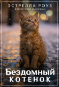 Обложка книги "Бездомный котенок"