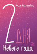 Обложка книги "2 дня до Нового года"