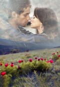 Обложка книги "Тень сомнения."