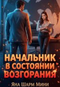 Обложка книги "Начальник в состоянии возгорания"
