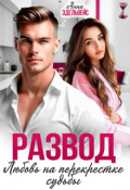 Обложка книги "Развод Любовь на перекрёстке судьбы"