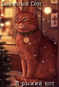 Обложка книги "Снежный сон и рыжий кот"