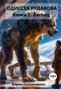 Обложка книги "Одиссея Рудакова Книга 2. Беглец"