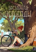 Обложка книги "Звездопад Персеиды"