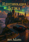 Обложка книги "Идентификация Блэка"