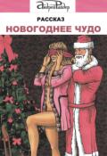 Обложка книги "Новогоднее чудо"