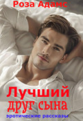 Обложка книги "Лучший друг сына"