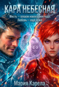 Обложка книги "Кара Небесная"